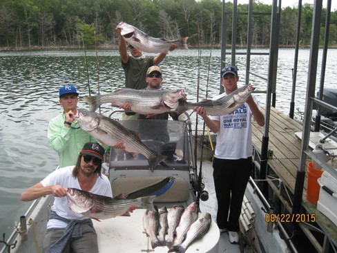 Nice Striped Bass